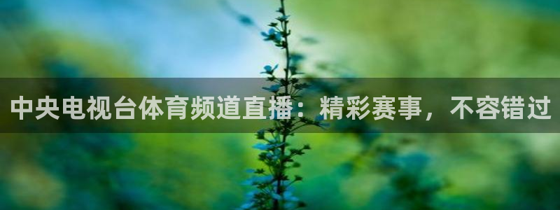 中央电视台体育频道直播：精彩赛事，不容错过