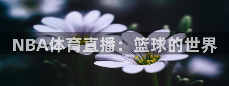 NBA体育直播：篮球的世界