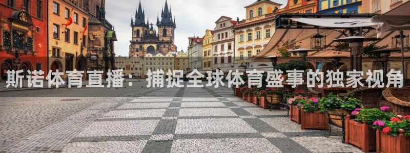 斯诺体育直播：捕捉全球体育盛事的独家视角