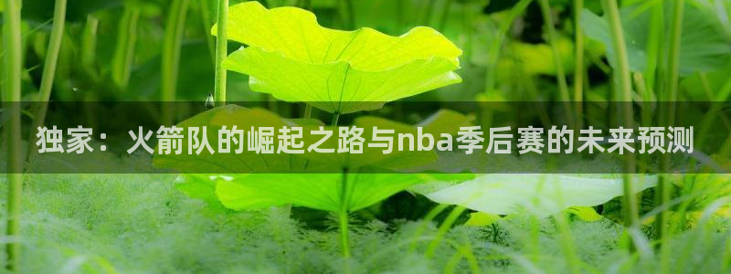 独家：火箭队的崛起之路与nba季后赛的未来预测