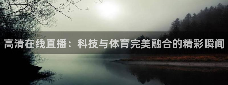 高清在线直播：科技与体育完美融合的精彩瞬间