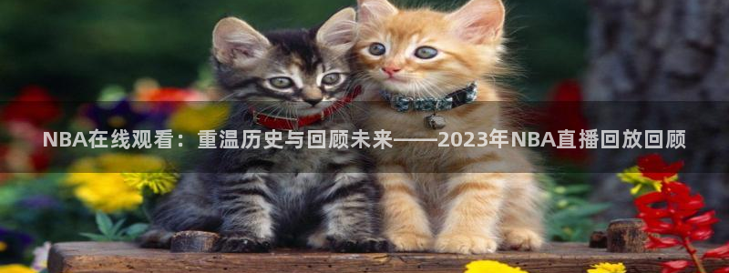NBA在线观看：重温历史与回顾未来——2023年NBA直播回放回顾