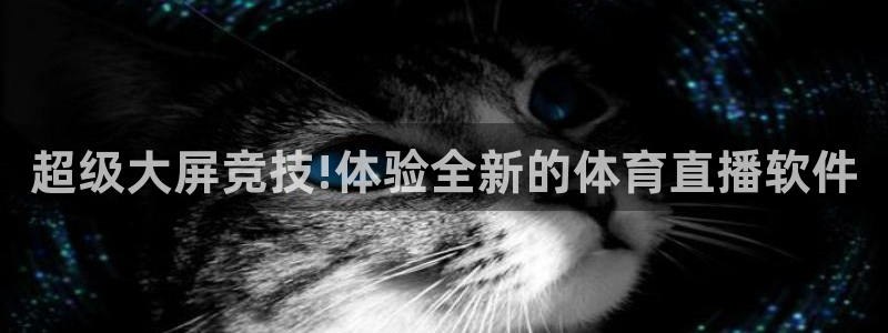 超级大屏竞技!体验全新的体育直播软件