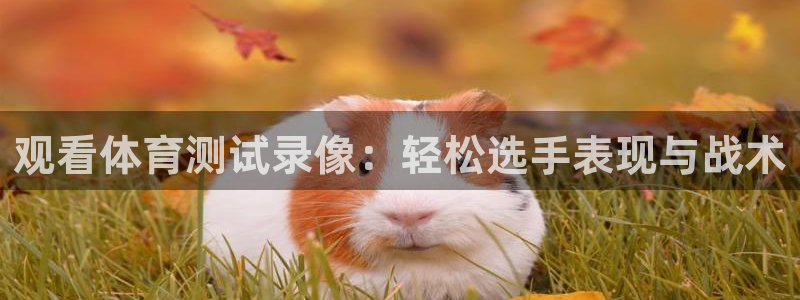 观看体育测试录像：轻松选手表现与战术