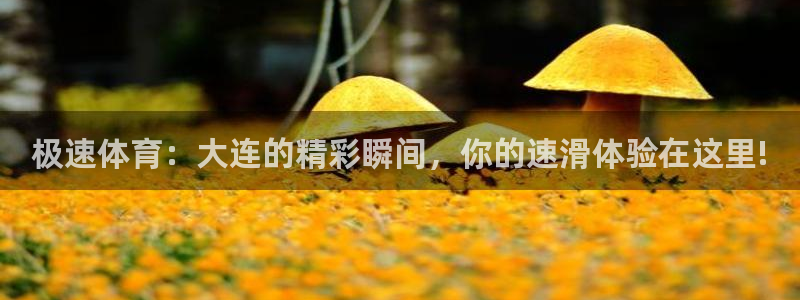 极速体育：大连的精彩瞬间，你的速滑体验在这里!