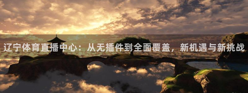 辽宁体育直播中心：从无插件到全面覆盖，新机遇与新挑战