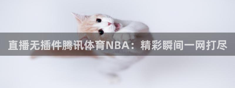 直播无插件腾讯体育NBA：精彩瞬间一网打尽