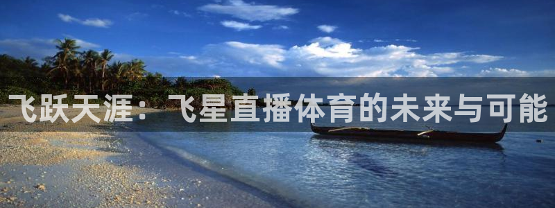 飞跃天涯：飞星直播体育的未来与可能