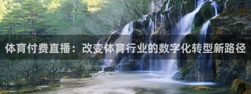 体育付费直播：改变体育行业的数字化转型新路径