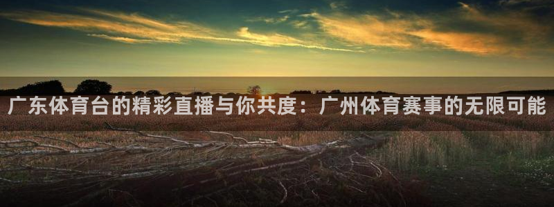 广东体育台的精彩直播与你共度：广州体育赛事的无限可能