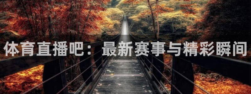 体育直播吧：最新赛事与精彩瞬间